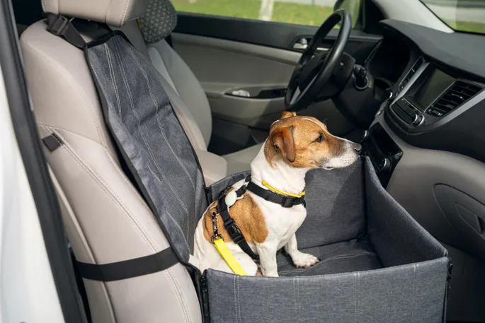 Top Dog Beds for Truck Back Seats: Comfort and Safety for Your Furry Friend